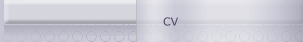 CV
